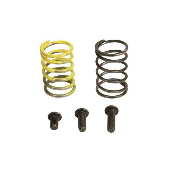 Industrial Injection - Industrial Injection 94-98 Dodge 12V AFC Spring Kit - 232708