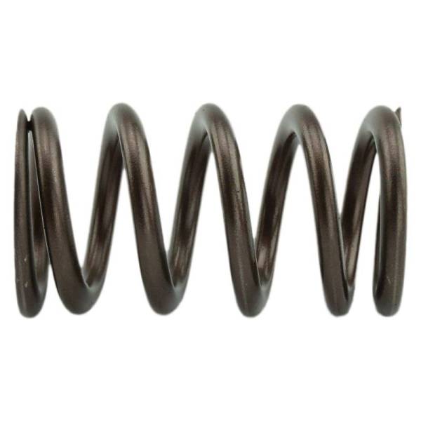 Industrial Injection - Industrial Injection 110 LBS Single Valve Spring Set - PDM-160-1484S-24