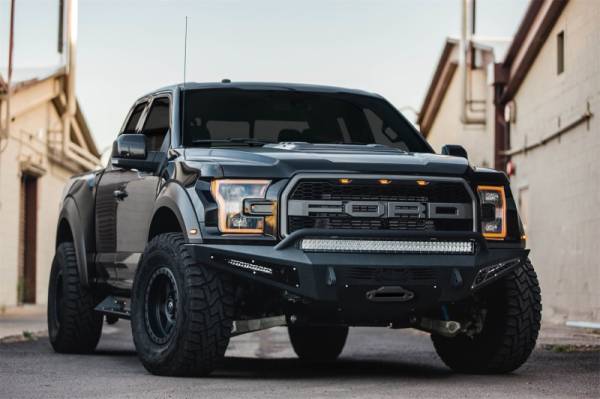 Addictive Desert Designs - Addictive Desert Designs 17-18 Ford F-150 Raptor HoneyBadger Front Bumper w/ Winch Mount F117382860103