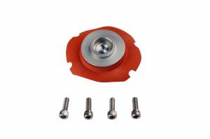 Aeromotive Fuel System EFI Regulator Repair Kit 13101,13109,13151,13159,13114 13001