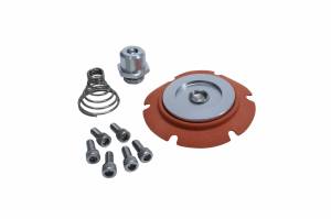 Aeromotive Fuel System Repair Kit 13022