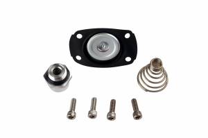 Aeromotive Fuel System Carb Regulator Repair Kit 13201,13205,13211,13215,13217,13251,13255 13005