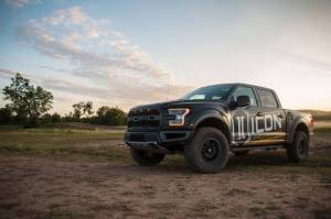 ICON - ICON 2017+ Ford Raptor Rear 3.0 Series Shocks PB - Pair - 95205 - Image 3