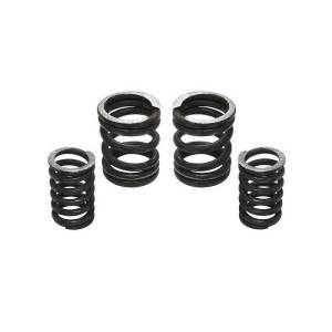 Industrial Injection Dodge 5.9L Cummins 12V 5000 Governor Spring Kit - 232702