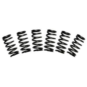 BD Diesel Valve Spring Kit 60lb Cummins 5.9 12-valve - 1030060