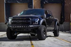 Addictive Desert Designs - Addictive Desert Designs 17-18 Ford F-150 Raptor Stealth Fighter Front Bumper F111182860103 - Image 10