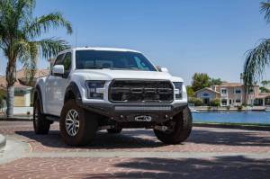Addictive Desert Designs - Addictive Desert Designs 17-18 Ford F-150 Raptor Stealth Fighter Front Bumper w/ Winch Mount F111202860103 - Image 9