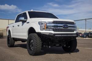 Addictive Desert Designs - Addictive Desert Designs 2018 Ford F-150 Stealth Fighter Front Bumper F181192860103 - Image 2