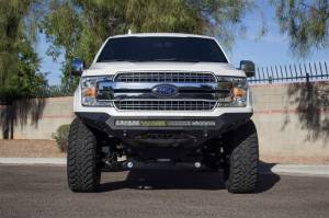Addictive Desert Designs - Addictive Desert Designs 2018 Ford F-150 Stealth Fighter Front Bumper F181192860103 - Image 5