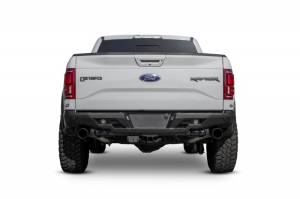 Addictive Desert Designs - Addictive Desert Designs 17-18 Ford F-150 Raptor Stealth Fighter Rear Bumper R111231280103 - Image 6