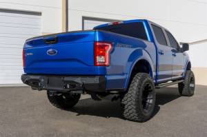 Addictive Desert Designs - Addictive Desert Designs 15-18 Ford F-150 Stealth Fighter Rear Bumper w/ Backup Sensor Cutout R181231280103 - Image 8