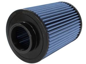 aFe - aFe MagnumFLOW P5R Air Filter 13-14 Ford Focus L4-2.0L / 2.0L (t) 10-10133 - Image 4