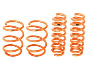 aFe - aFe Control Lowering Springs 12-15 BMW 335i (F30) 410-503002-N - Image 4