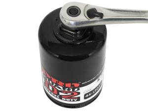 aFe - aFe Pro GUARD D2 Oil Filter 99-05 GM Gas Trucks V8 4.8L/5.3L/6.0L (4 Pack) 44-LF011-MB - Image 6