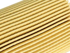 aFe - aFe ProGuard D2 Fluid Filters Fuel F/F Oil; Toyota Tundra 07-12 V8-5.7L 44-LF015 - Image 6