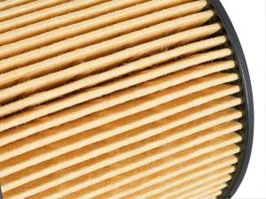 aFe - aFe Pro GUARD D2 Oil Filter 06-19 BMW Gas Cars L6-3.0T N54/55 44-LF029 - Image 5