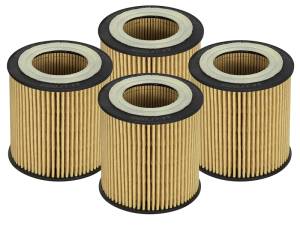 aFe - aFe Pro GUARD D2 Oil Filter 06-19 BMW Gas Cars L6-3.0T N54/55 - 4 Pack 44-LF029-MB - Image 1