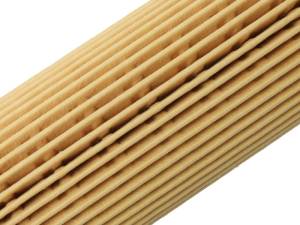 aFe - aFe Pro GUARD HD Oil Filter (4 Pack) 44-LF049-MB - Image 2