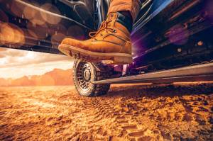 AMP Research - AMP Research 2025 RAM 1500 (Gas ONLY) PowerStep Plug & Play - Black 76364-01A - Image 4