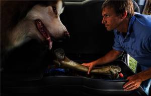 Husky Liners - Husky Liners 09-12 Ford F-150 Super Cab Husky GearBox (w/o Factory Subwoofer) 09261HUL - Image 3