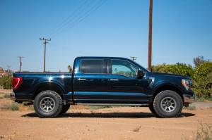 ICON - ICON 21-24 Ford F-150 4WD VS RR CDXS Coilover Kit 91823X - Image 4