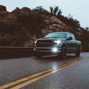 RIGID Industries - Rigid Industries D-Series PRO SAE Fog White Pair 504815 - Image 4